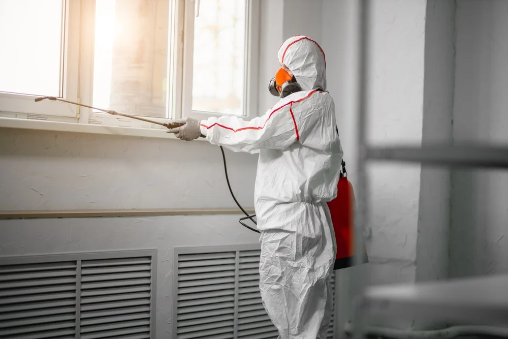 Professional mold remediation services in Bridgewater, NJ